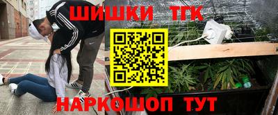 альфа пвп Заводоуковск