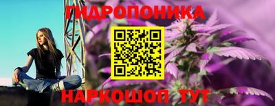 твердый Жуковский