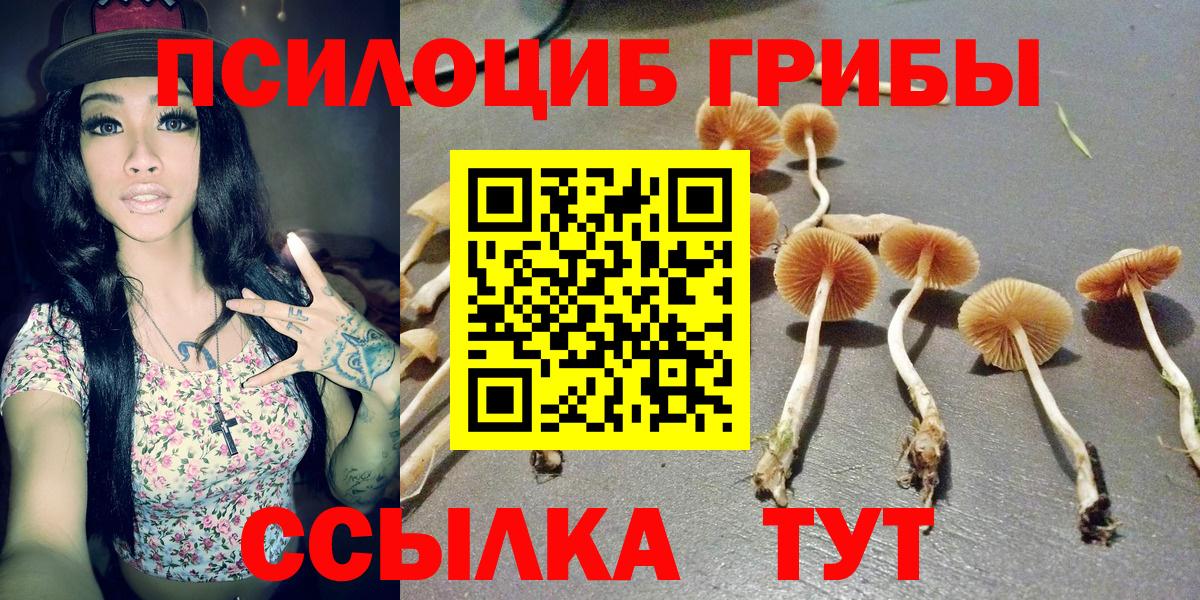 Галлюциногенные грибы прущие грибы  Вход с VPN  Медногорск 